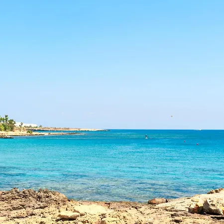 Cypriana فيلة بروتاراس